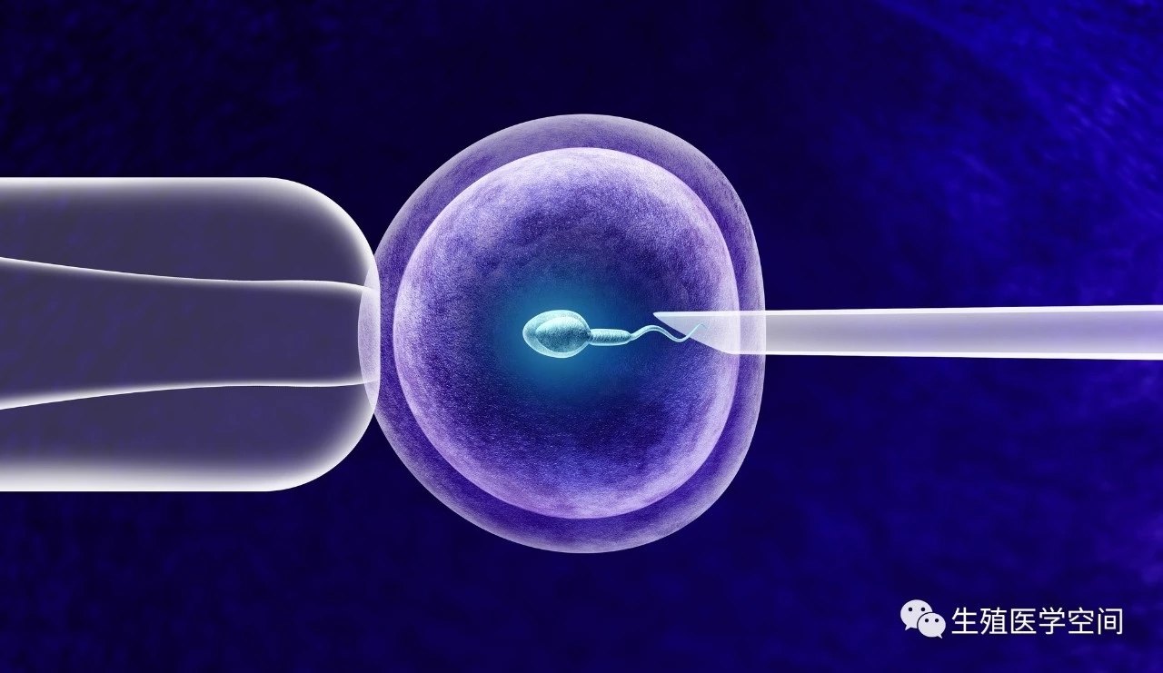  白细胞计数升高常见病因分析