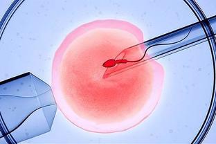   男性试管婴儿精液检查