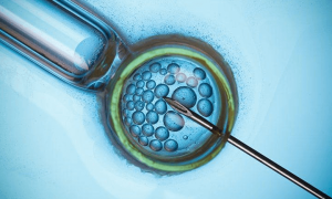   看不孕不育费用明细解读