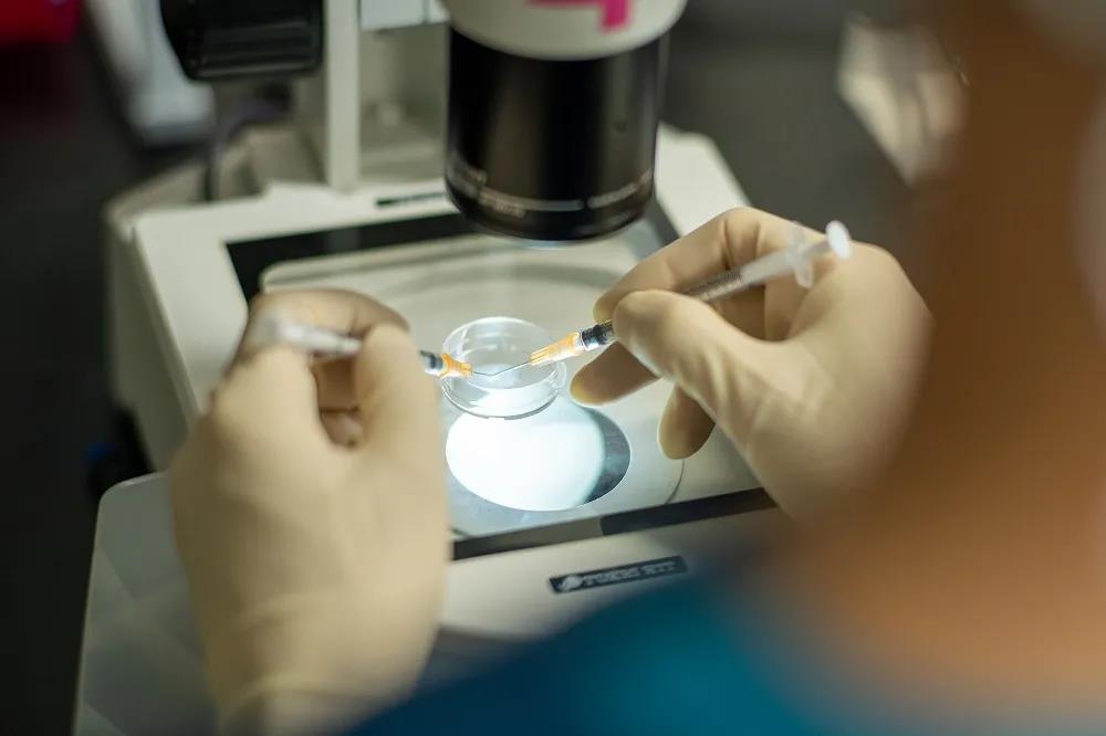   男性生育力评估与试管婴儿成功率关系研究