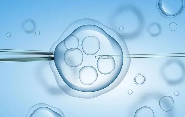   男性不育症辅助生殖技术探讨